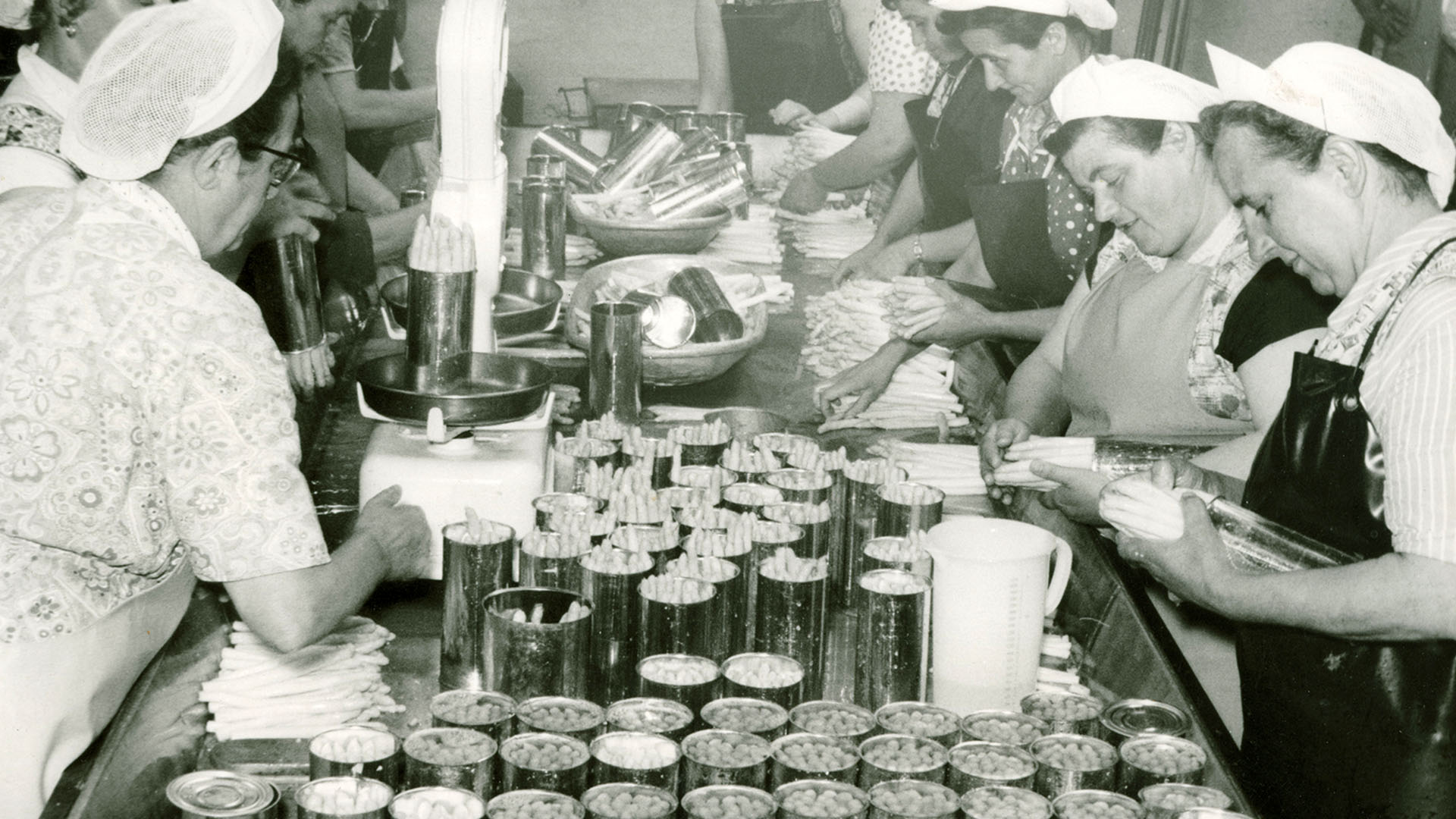 Schwarzweißfoto: Frauen in Kittel und mit Kopfhaben stehen an einem tisch und bereiten Spargel vor bzw. stecken ihn in Konservendosen